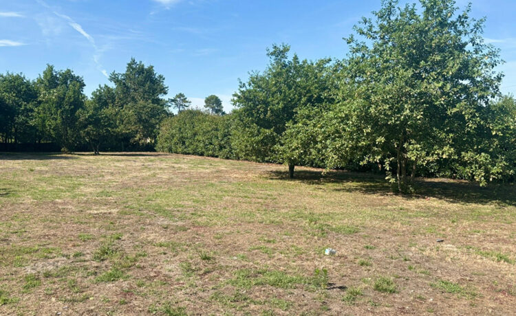 Maison Solferino 6 pièce(s) 192 m2